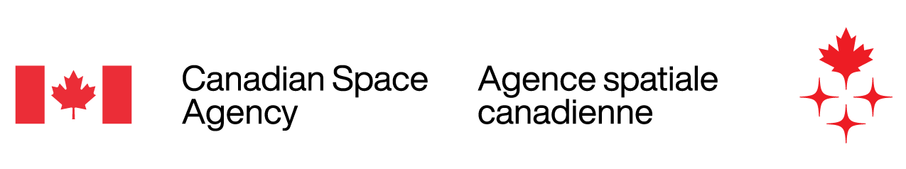 Light backgrounds horizontal coloured logo