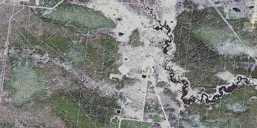 Image satellitaire d'une forêt boréale de l'Alberta