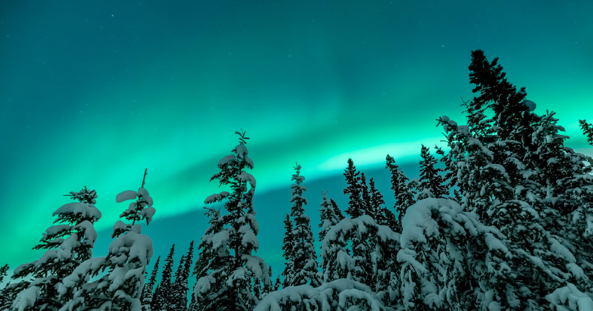 From the ground up: Canadian all-sky imagers advancing space weather science for SMILE