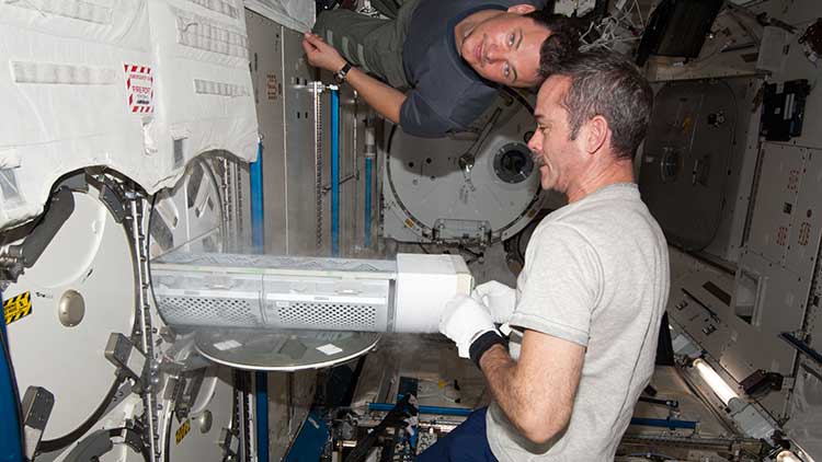 Hadfield stores samples in the ISS Freezer