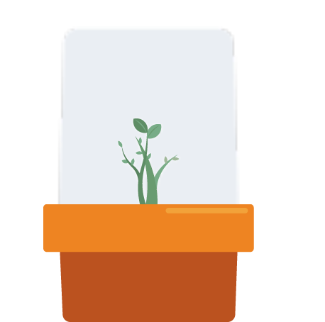 Illustration of a mini-greenhouse with a plant sprouting in it.