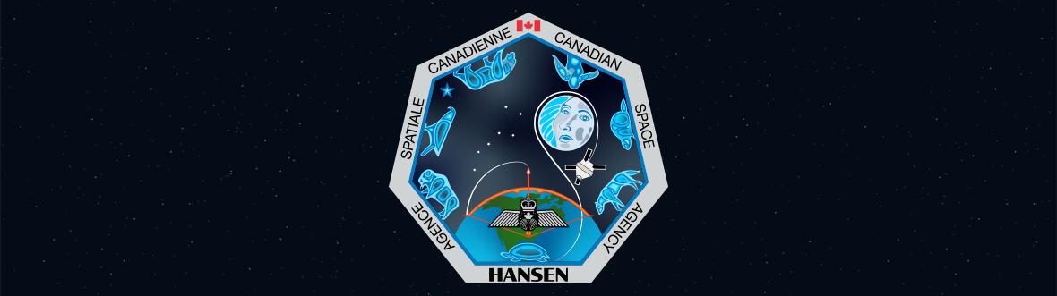 A heptagon with astronaut pilot wings and various animal symbols. The name HANSEN is written at the bottom.