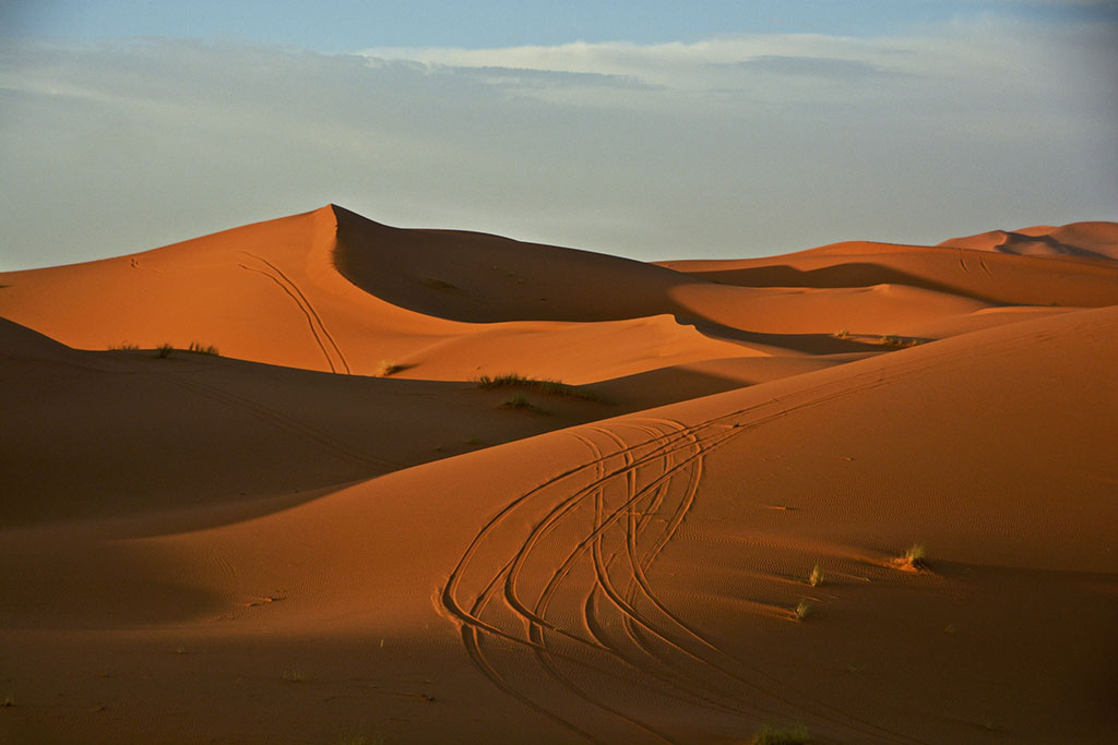 Des traces dans le sable dans le désert du Sahara à Merzouga au Maroc. (Source : Antonio Cinotti.)