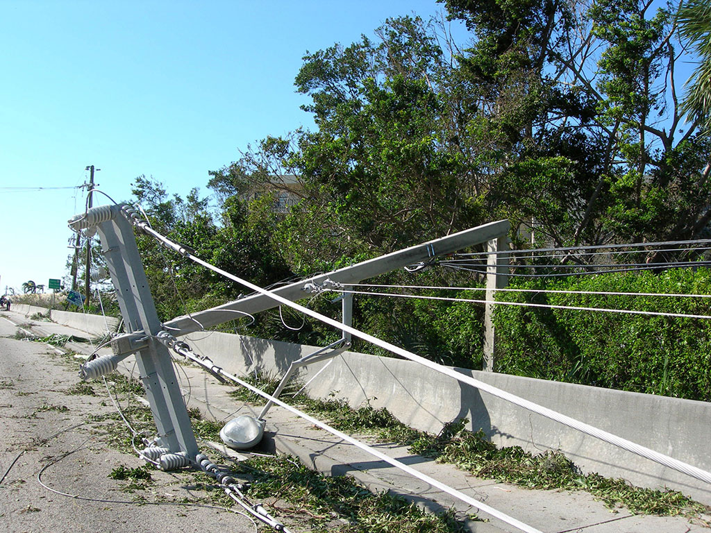 Fallen pole after Hurricane Wilma. (Credit: Daniel Tobias)