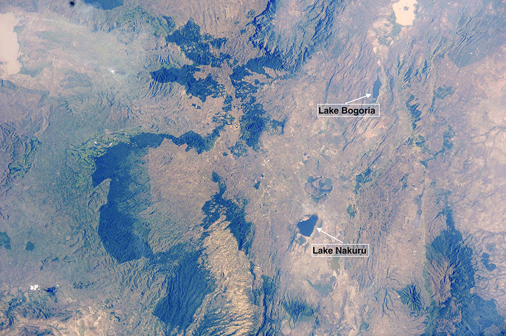Habitats d'alimentation et de repos des flamants nains dans les lacs de la vallée du Grand Rift au Kenya. (Source : NASA.)