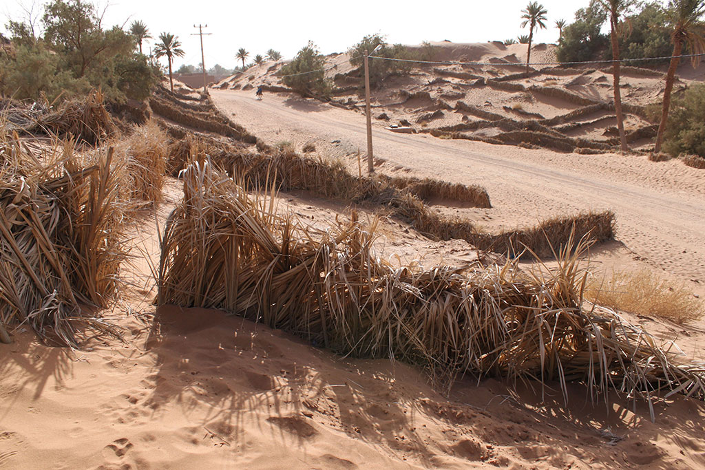 Gestion de la désertification à Tinfu, au Maroc. (Source : Richard Allaway.)