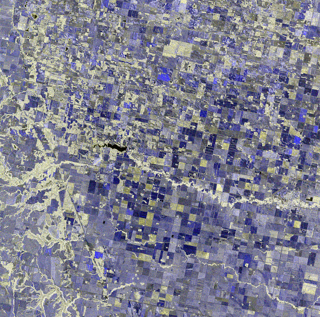 Cette image de champs à l'ouest de Winnipeg, au Manitoba, a été captée par le satellite canadien RADARSAT-2. Plus les teintes de bleu sont foncées, moins il y a de végétation dans le champs. La couleur crème indique les zones de forêt. (Source : Données et produits de RADARSAT-2 © MacDonald, Dettwiler and Associates Ltd. (2016) – Tous droits réservés. RADARSAT est une marque officielle de l'Agence spatiale canadienne.)
