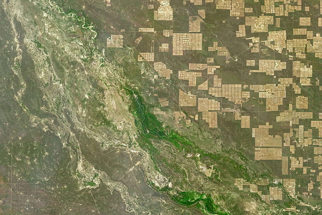 La forêt de Gran Chaco est la deuxième plus grande en Amérique latine après l'Amazone et s'étend à travers une partie du Paraguay, de l'Argentine et de la Bolivie. C'est une forêt sèche composée d'arbres épineux, de buissons et d'herbes, et qui abrite des centaines d'espèces d'oiseaux, de mammifères et de reptiles. Cette région souffre toutefois d'un des plus haut taux de déforestation au monde. Grâce à des observations des satellites américains Landsat, il a été démontré qu'environ 20 pourcent (142 000 kilomètres carrés) de la forêt de Gran Cho a été convertie en terres agricoles ou en pâturage depuis 1985. Il s'agit d'une zone environ aussi grande que l'État de New York. (Source : Image de Michael Taylor développée pour la NASA Earth Observatory à l'aide de données Landsat du U.S. Geological Survey.)