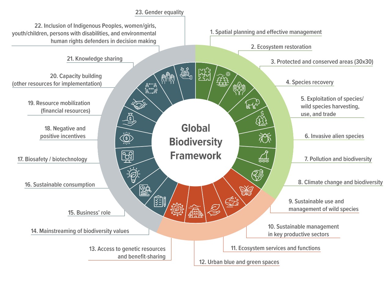 Overview of the Global Biodiversity Framework's three themes and the targets that fall under each of those themes.