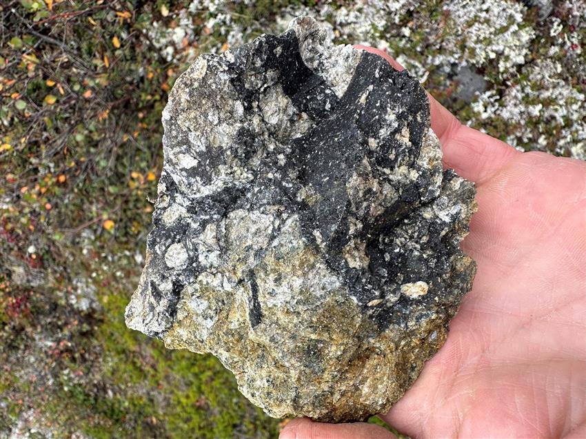 A close-up of a rock with pale and dark grey spots, held in someone's hand.