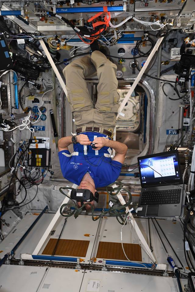 David-Saint Jacques takes part in activities for Vection while on board the ISS