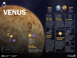 Venus in numbers - infographic