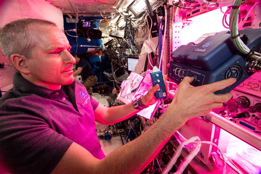 David Saint-Jacques et le bioanalyseur – David Saint-Jacques à bord de la Station spatiale internationale
