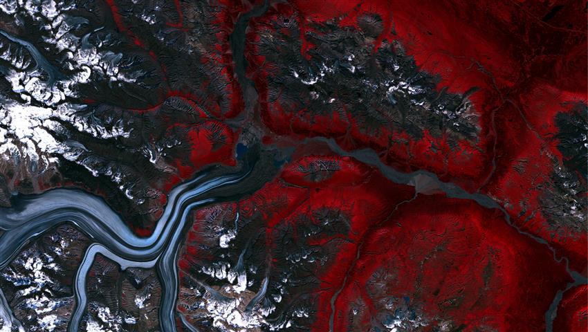False-colour satellite image of Kaskawulsh Glacier.