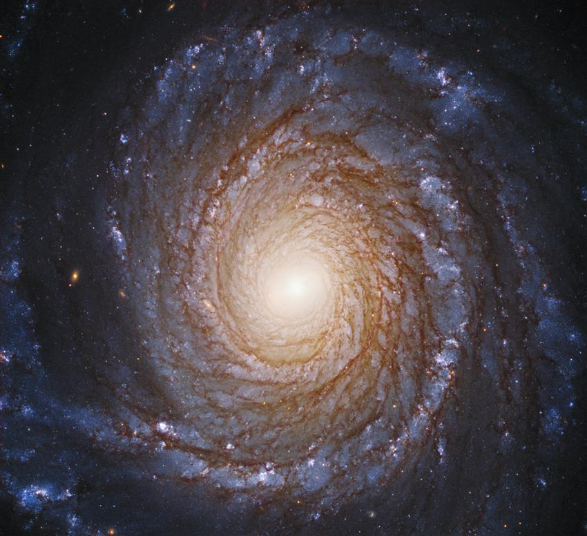 The spiral galaxy NGC 3147