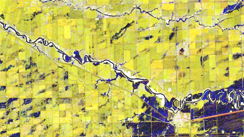 Image satellitaire montrant des champs agricoles du Manitoba