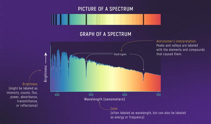 The visible light spectrum of the star Altair