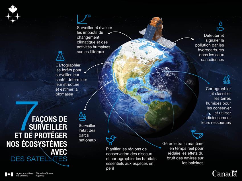 7 façons de surveiller et de protéger nos écosystèmes aves des satellites - Infographie