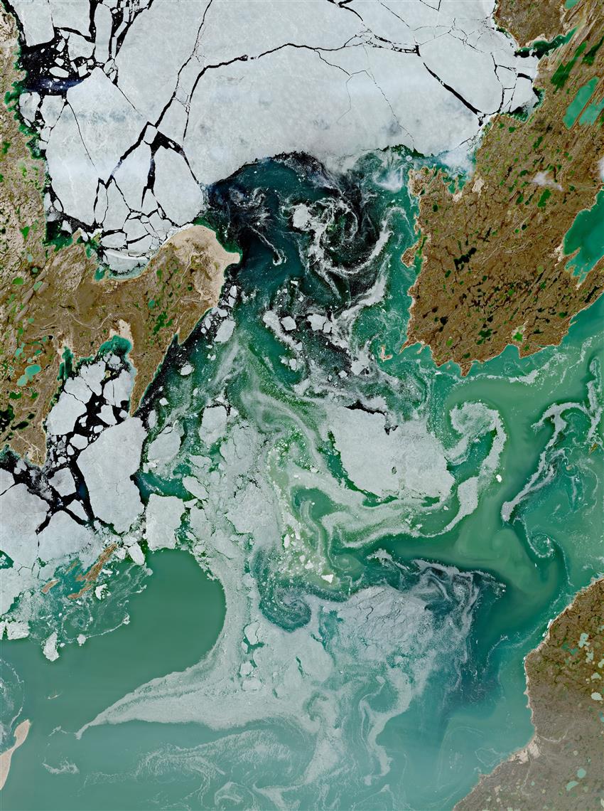 Image satellitaire du bassin Saint-Roch, du détroit de Rae et du bassin Rasmussen au Nunavut.