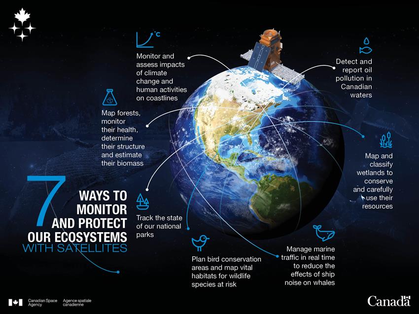 7 ways to monitor and protect our ecosystems with satellites