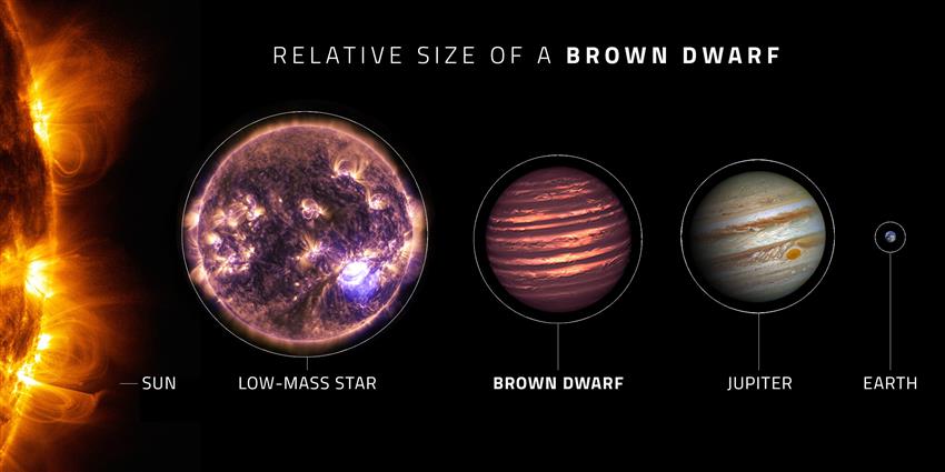 Relative size of a brown dwarf - infographic