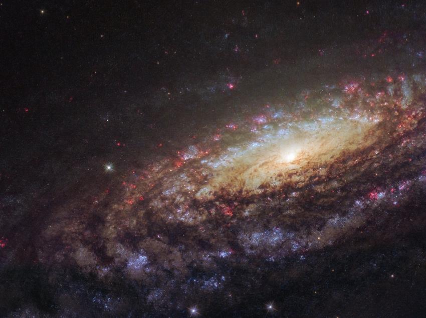 La galaxie spirale NGC 7331