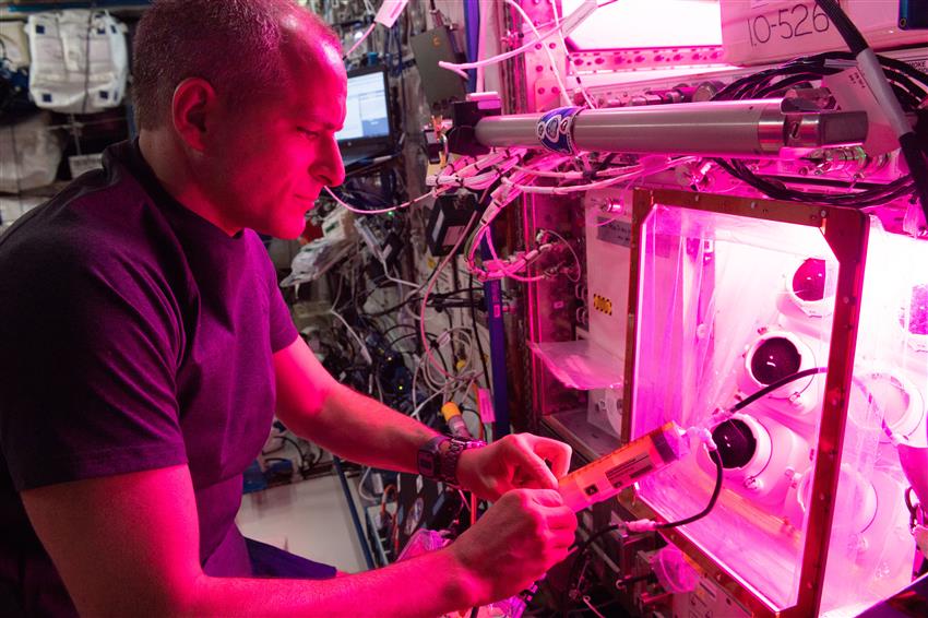 Expérience Veggie PONDS – David Saint-Jacques à bord de la Station spatiale internationale