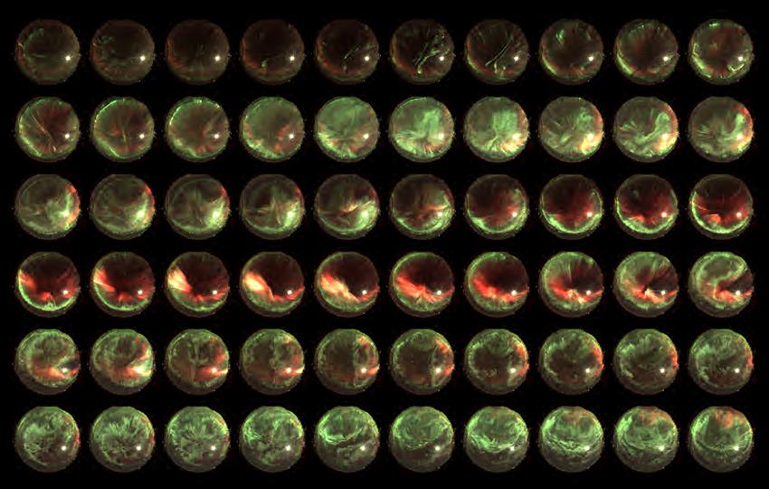 Une grille d'images circulaires du ciel entier montrant l'évolution d'aurores vertes et rouges.