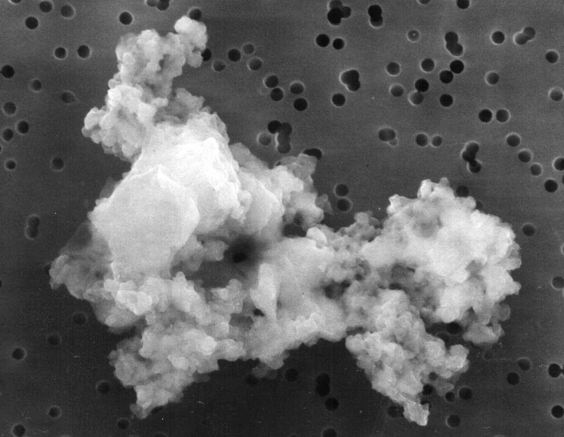 Interplanetary dust particle collected in the stratosphere of the Earth
