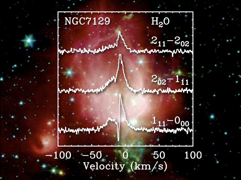 Signature spectrale H2O à proximité de la protoétoile NGC 7129